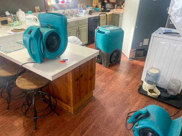 Best 24-hour water damage restoration  in Arabi, LA