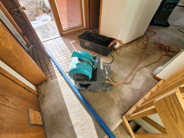 Best Water damage restoration near me  in Arabi, LA