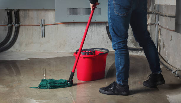 Best 24/7 water damage repair  in Arabi, LA