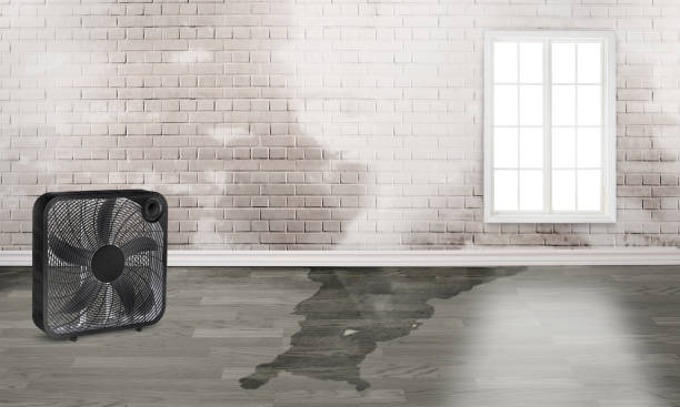 Best Commercial water damage restoration  in Arabi, LA
