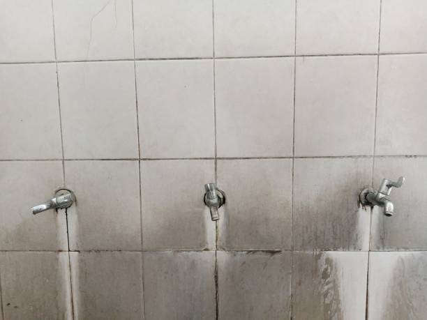 Best 24-hour water damage restoration  in Arabi, LA