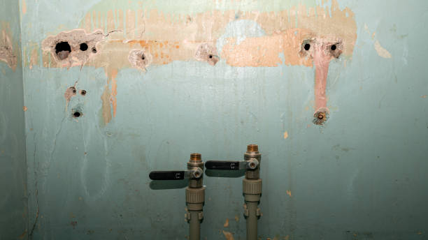 Best Water damage contractors near me  in Arabi, LA