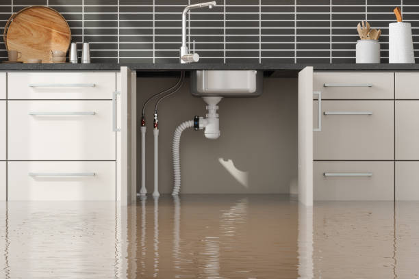 Best Water damage restoration near me  in Arabi, LA