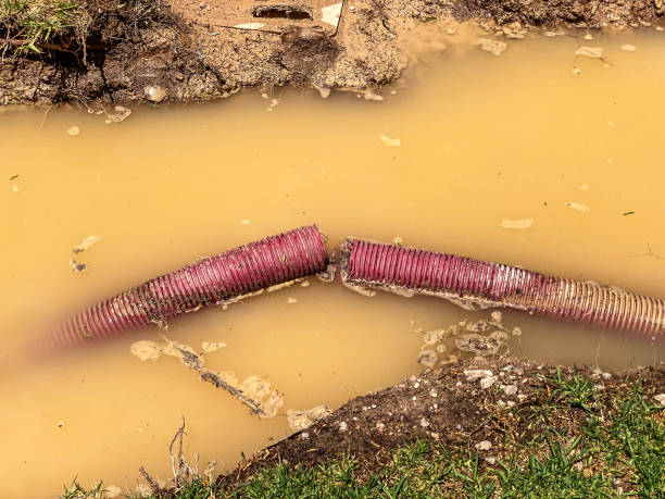 Best Water damage restoration insurance claims  in Arabi, LA