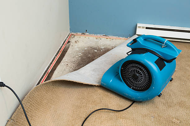 Best Emergency water damage restoration  in Arabi, LA